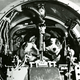 Image for article titled The First Animals In Space